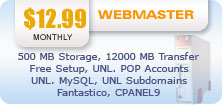 Webmaster Hosting Plan
