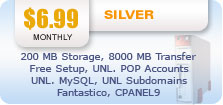 Silver Hosting Plan