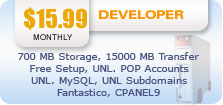 Developer Hosting Plan