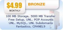 Bronze Hosting Plan
